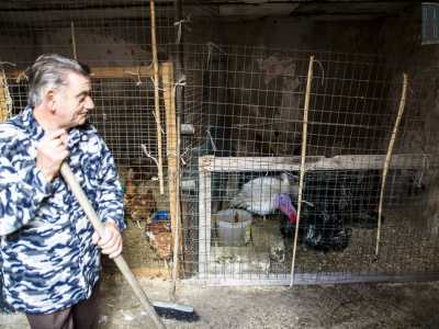 Il pollaio allestito in un piano terra di via Matera 